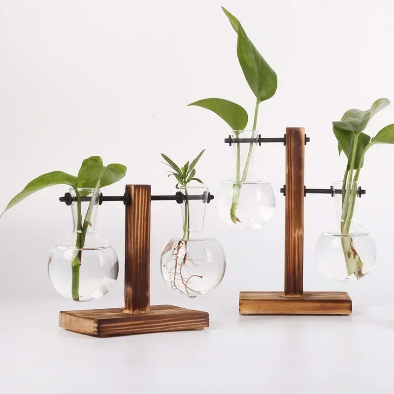 Hydroponic Glass Terrarium Vase