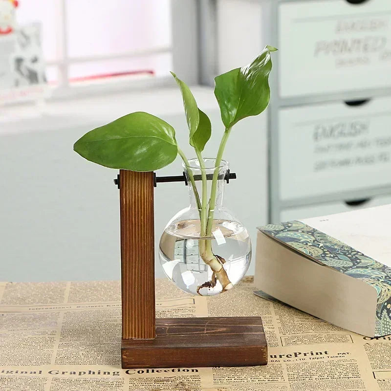 Hydroponic Glass Terrarium Vase