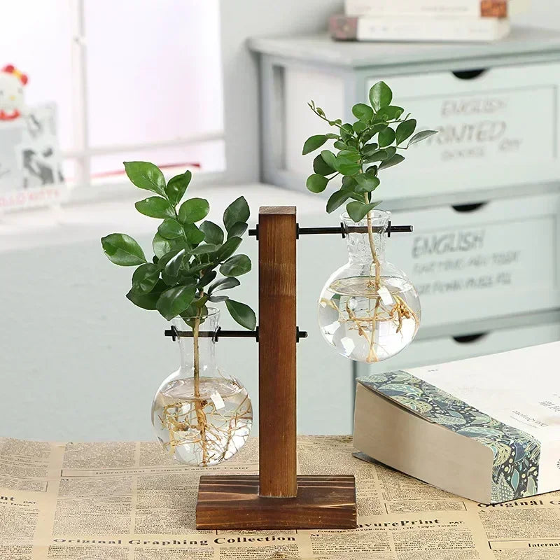 Hydroponic Glass Terrarium Vase